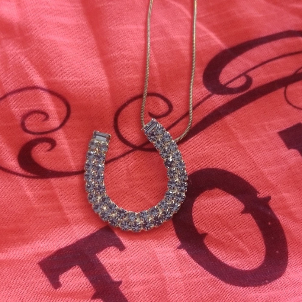 Blue horseshoe rhinestone necklace